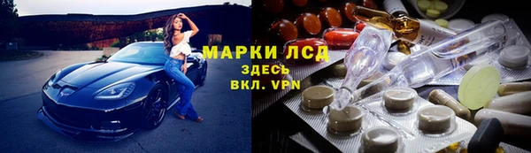 тгк Алзамай